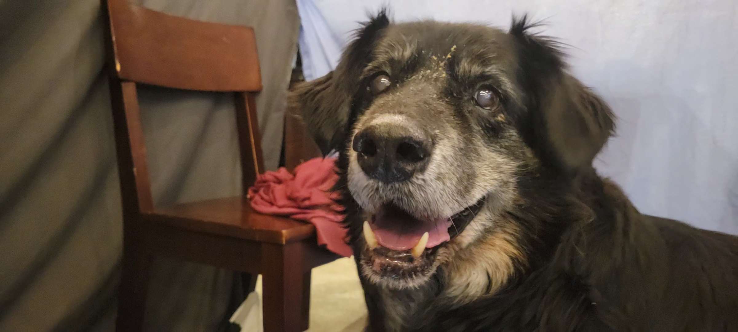 Chasm with peanut butter on his face, 2026